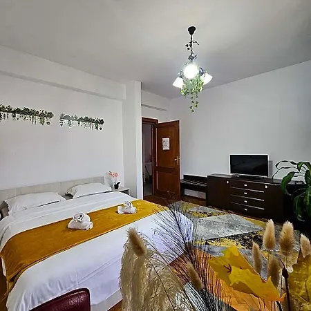 Отель Zarnesti Centre Vmp Free Parking 3*