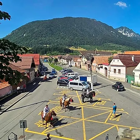 Отель Zarnesti Centre Vmp Free Parking