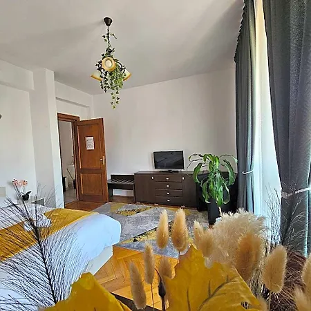 Zarnesti Centre Vmp Free Parking 3* Brașov