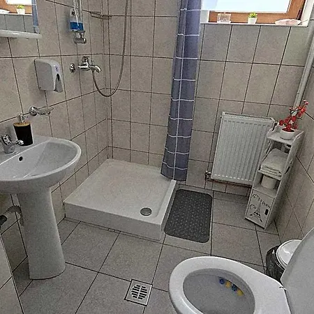 Zarnesti Centre Vmp Free Parking 3* Брашов
