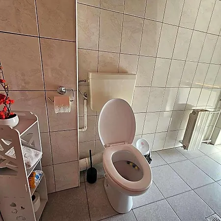 Отель Zarnesti Centre Vmp Free Parking Брашов