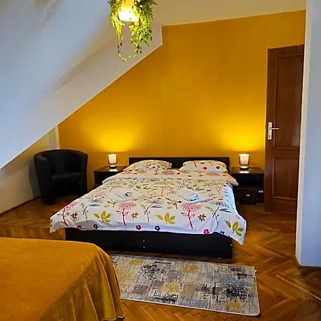 Zarnesti Centre Vmp Free Parking Отель 3*